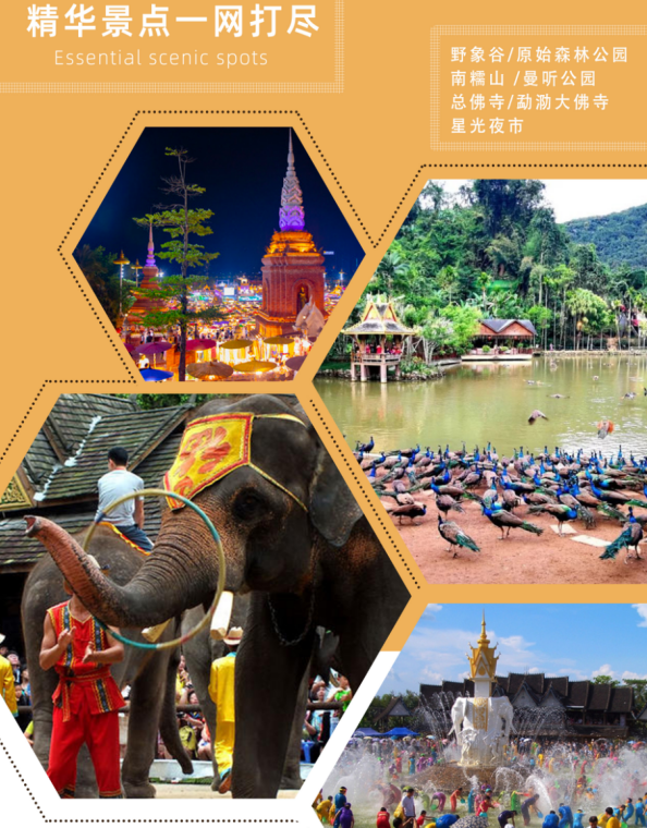 1704267210516625.png image.png