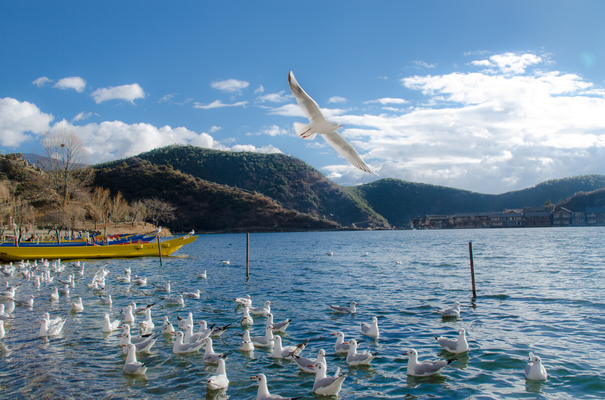 1705632548124423.jpg f65c62dcce951c6d36096108fbfb79a9_507054010.jpg