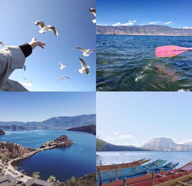 1705633637404853.jpg a80f6f313b322b1450aa1d24da9ca10.jpg