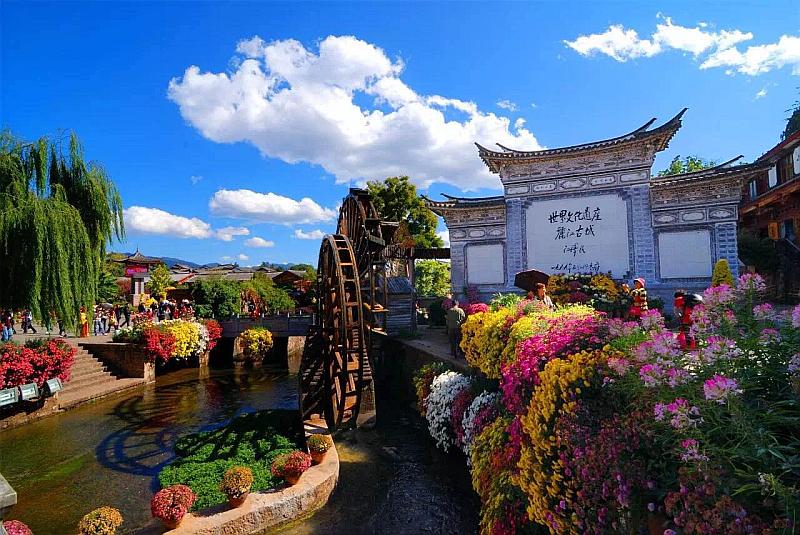 1705636916367828.jpg 45a4104877ebc072f6e9a215445c47a6_1515141943244.jpg