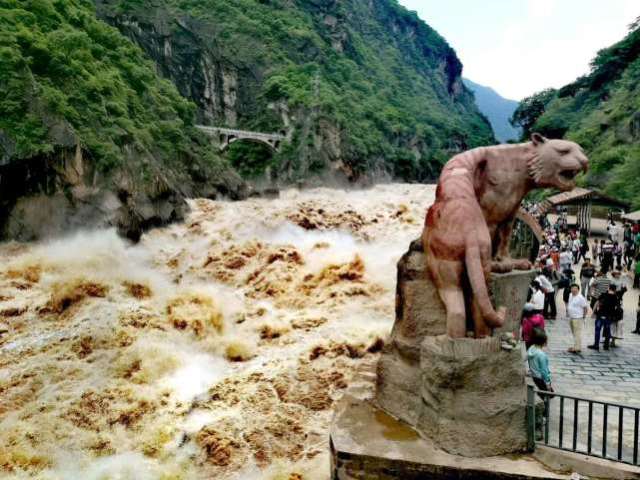 1705889038890542.jpeg c1c23e6594eb1d660f7385acb3ef848c_193d7811c8b64b948bc16376eaacd46f.jpeg