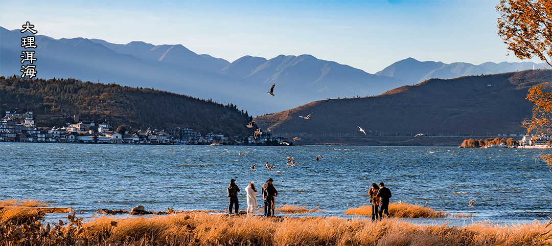 1707108665988800.jpg 大理洱海1.jpg