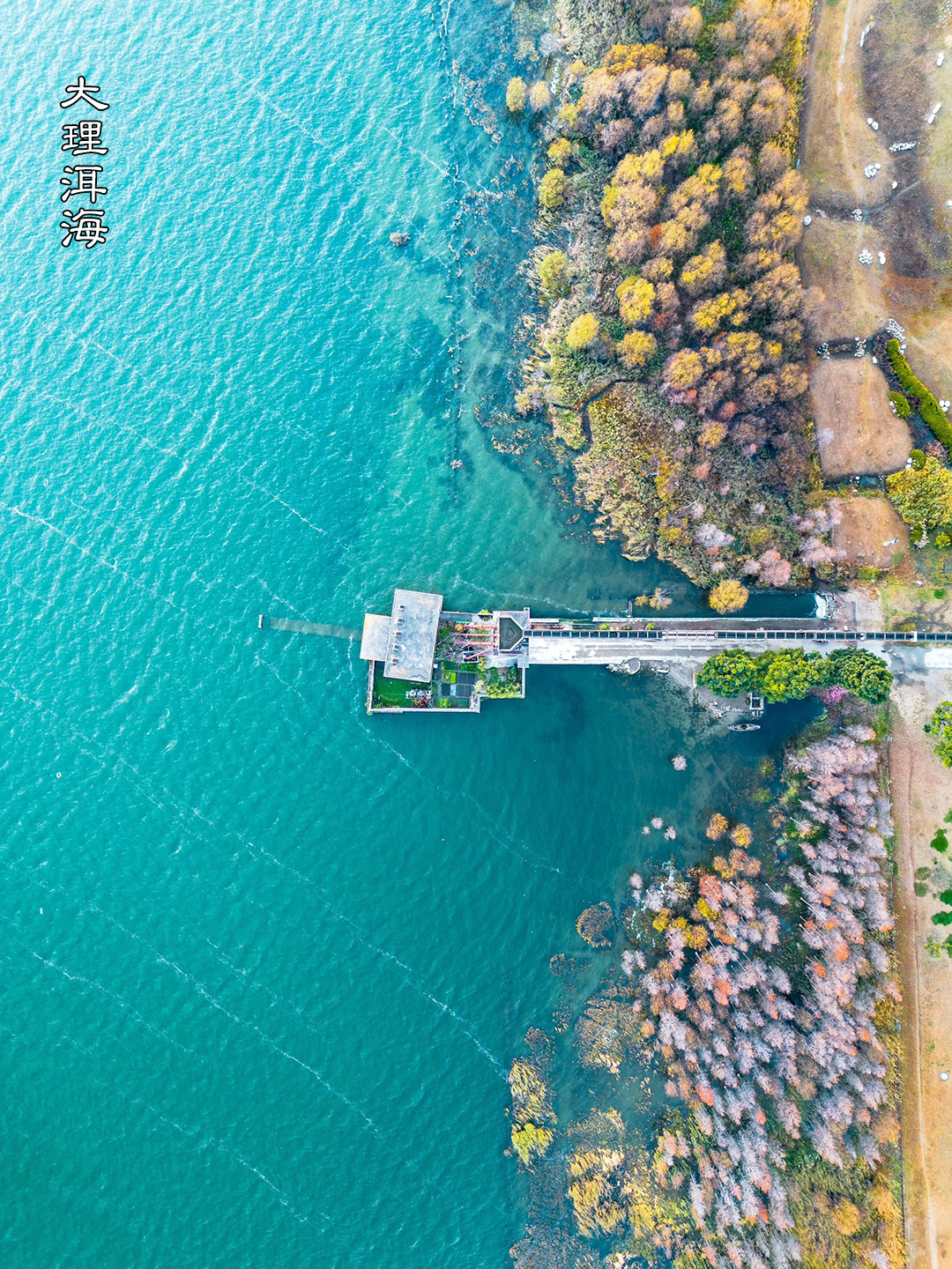 1707276266679299.jpg 大理洱海.jpg