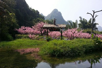 1709692862250909.jpg 58460cfb6f949fadd6e36d0b25beb56c_t0195be770046a95686.jpg