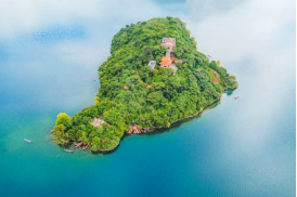 1710751496884101.png image.png