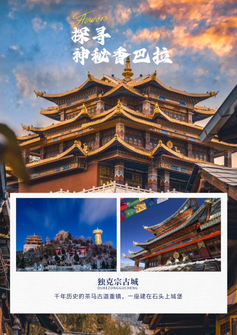 1710820375648896.jpg 11316ebc556143d76b518919acf1948.jpg