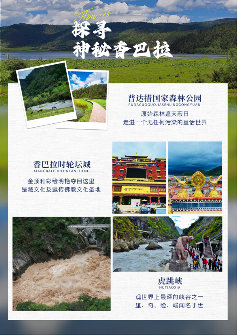 1710820395162548.jpg e51e0189dec45a088aa213dc96738e5.jpg