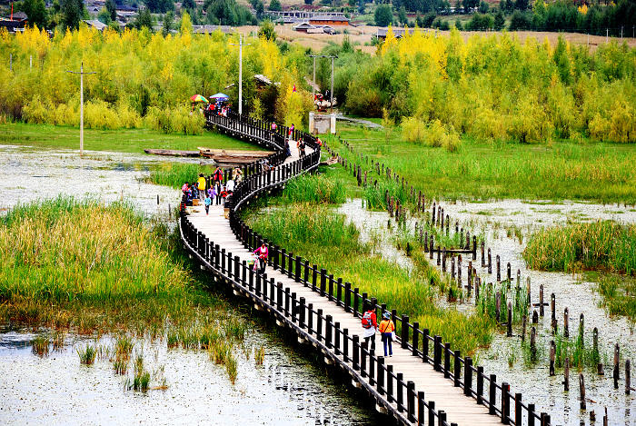 1715070456699591.jpg 0bc198accf9a83fe77e679dcd8a21609_AQN99T.jpg