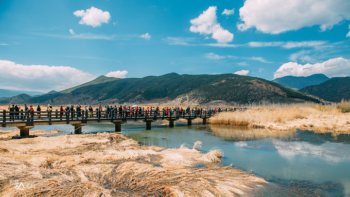 1715070487855634.jpg c65e38f5cc9f1c41387f47dde10b5775_11ebb72d1ab104b5.jpg_r_720x480x95_729809b2.jpg