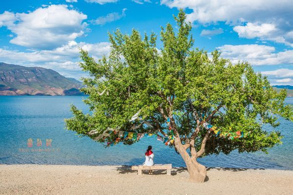 1715071088533153.jpg 05500935162a792d53a3200053a0c2b2_2625381edec8492da38ca9bef1caf699_th.jpg