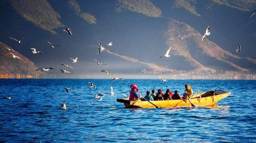 1715071176860047.jpg e5a25173e0e6fe5c51e0528d1c5dd041_350b1g000001hljeqF0F0_C_500_280_Q80.jpg