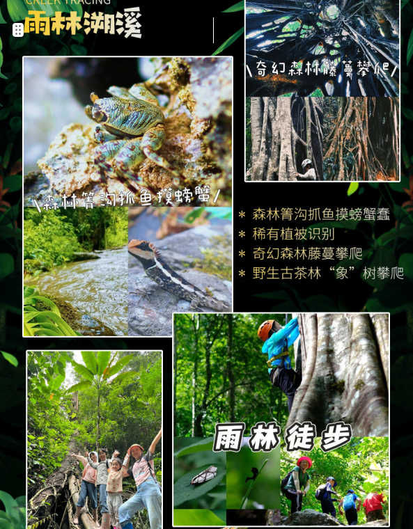 1716886332609438.png image.png