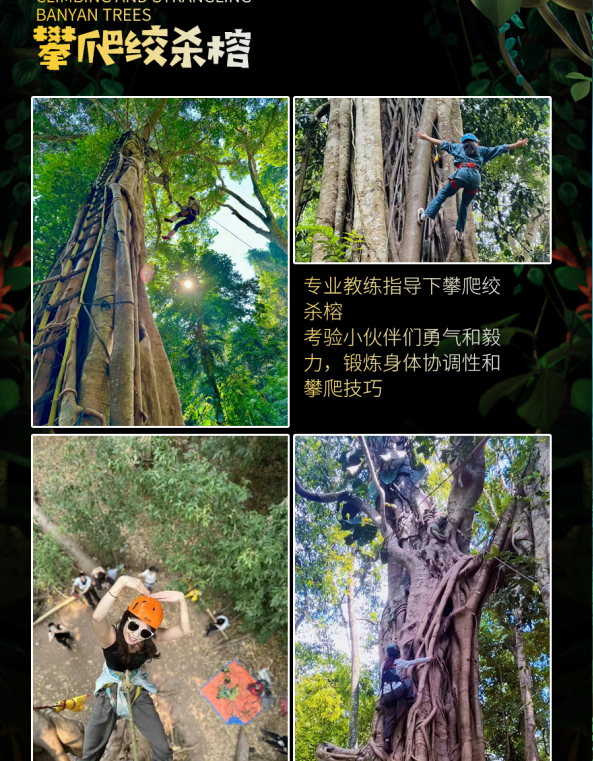 1716886368646781.png image.png