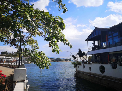 1718098004725579.png 437ae362c29394941b33272a0586e36d_t01d481169fddd9cb22.png