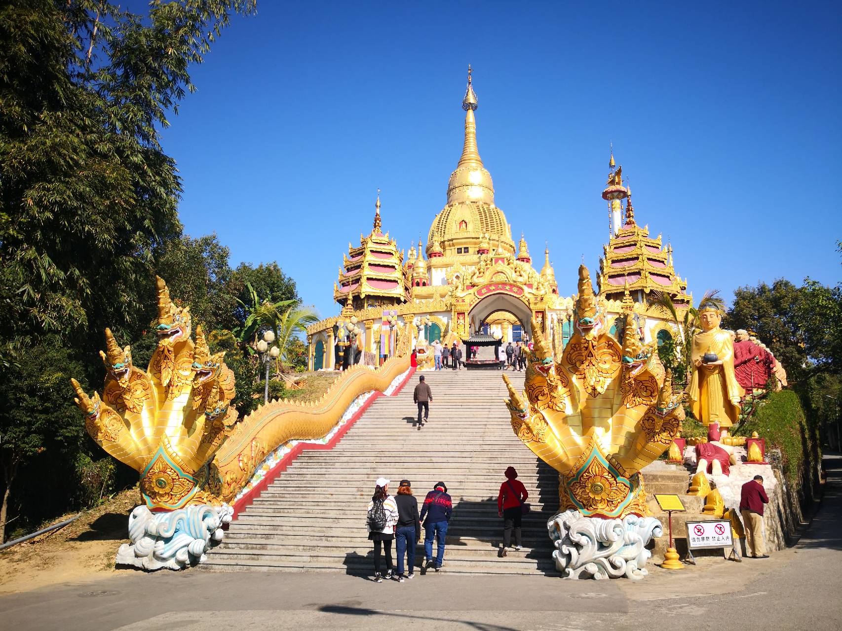 1721114566514254.jpg 24db7aee803cbf7a6e60735251eb957b_t01a73cc9d653eae8a5.jpg