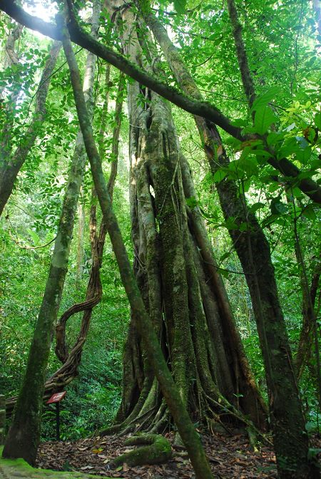 1730451726980130.jpg a97f9ff3431f7619f34e48b0c9c66b18_5.jpg