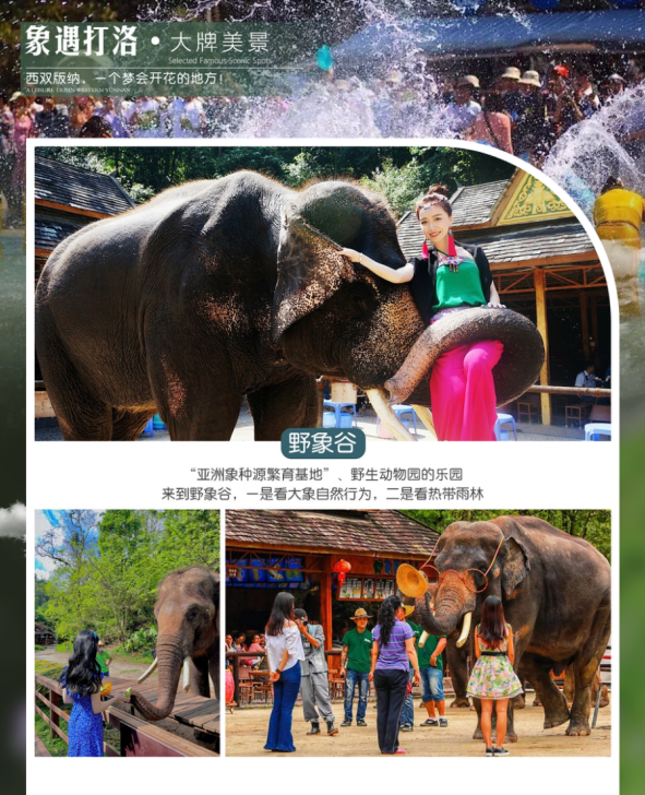 1730700974617008.png image.png