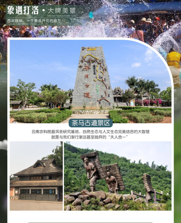 1730701035806364.png image.png