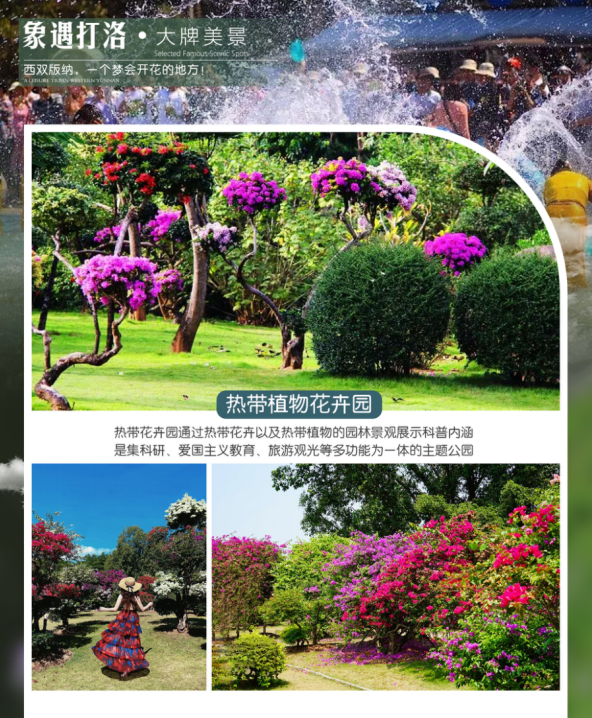 1730701110622238.png image.png