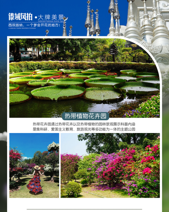 1730705672374544.png image.png