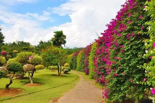 1730706161305506.jpeg fa8a14e3b96bc325aaab071c7a48be08_b162f670ff59403bb5632373754833d5.jpeg