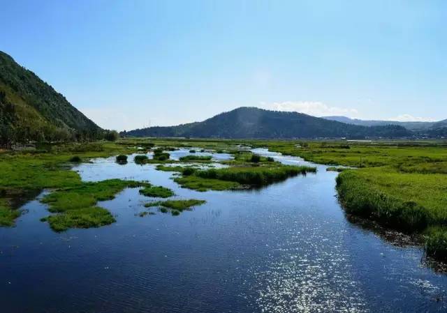 1733384213600444.jpeg 20106876cee0a7b6e19509d55c04a5b6_5de3df781773495282d9e7a6ca3d8163.jpeg