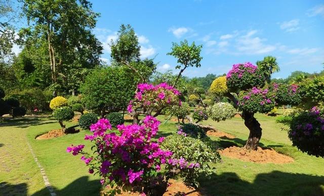 1734332706171529.jpg af7e576a88bfeb6dbd93504535eb5bb6_u=986406808,1498109880&fm=175&app=25&f=JPEG_w=640&h=388&s=F22ABEE01C0342C4C630D014030050D7.jpg