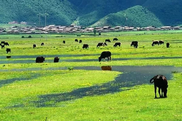 1734664400538984.jpg 5d7db5d4d801ac6beccec5a0be05222e_72042f22ae9b4512ba5b1f51e61beb65.jpg