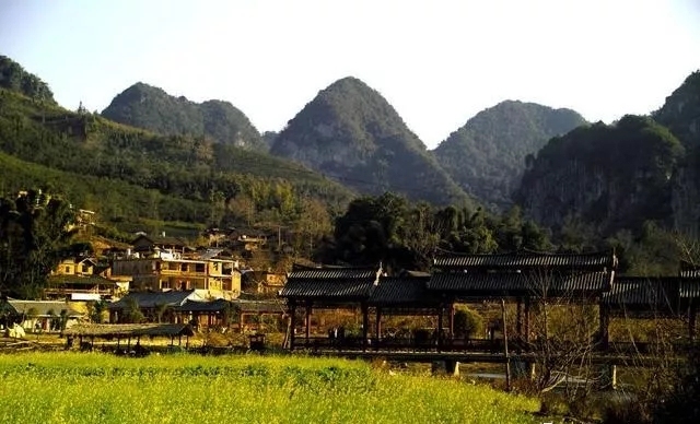 1734664723456623.jpeg 7517eff2e342ec55a7d2a6390576deb8_dabffdf3b52f4112813a5a6411f496c1.jpeg