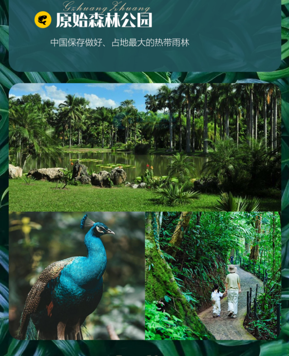 1735008728596394.png image.png