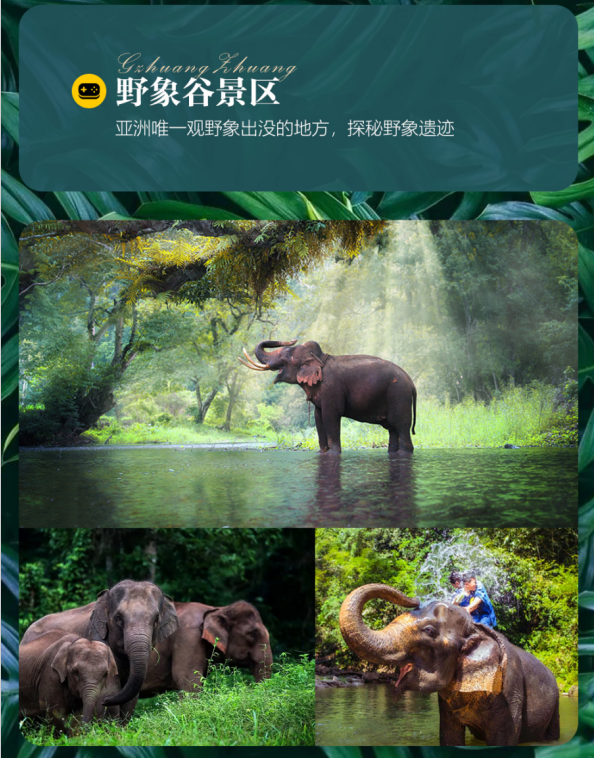 1735008814588071.png image.png