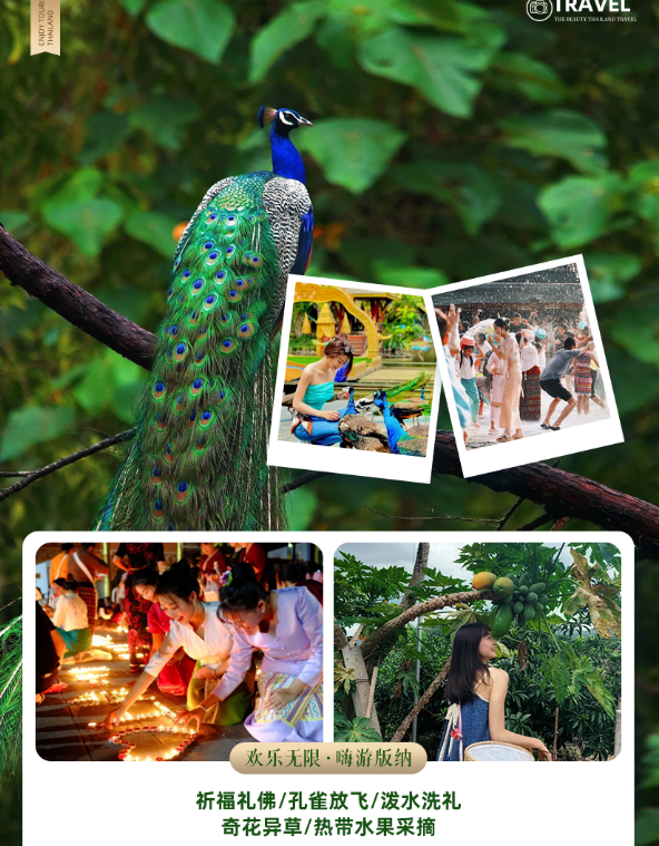 1736242632105533.png image.png