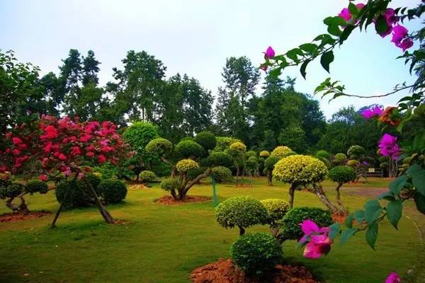 1739156011118054.jpg 42cebf57257406b3b767c09ef34c9d33_t04ae3b711e602b52b5.jpg