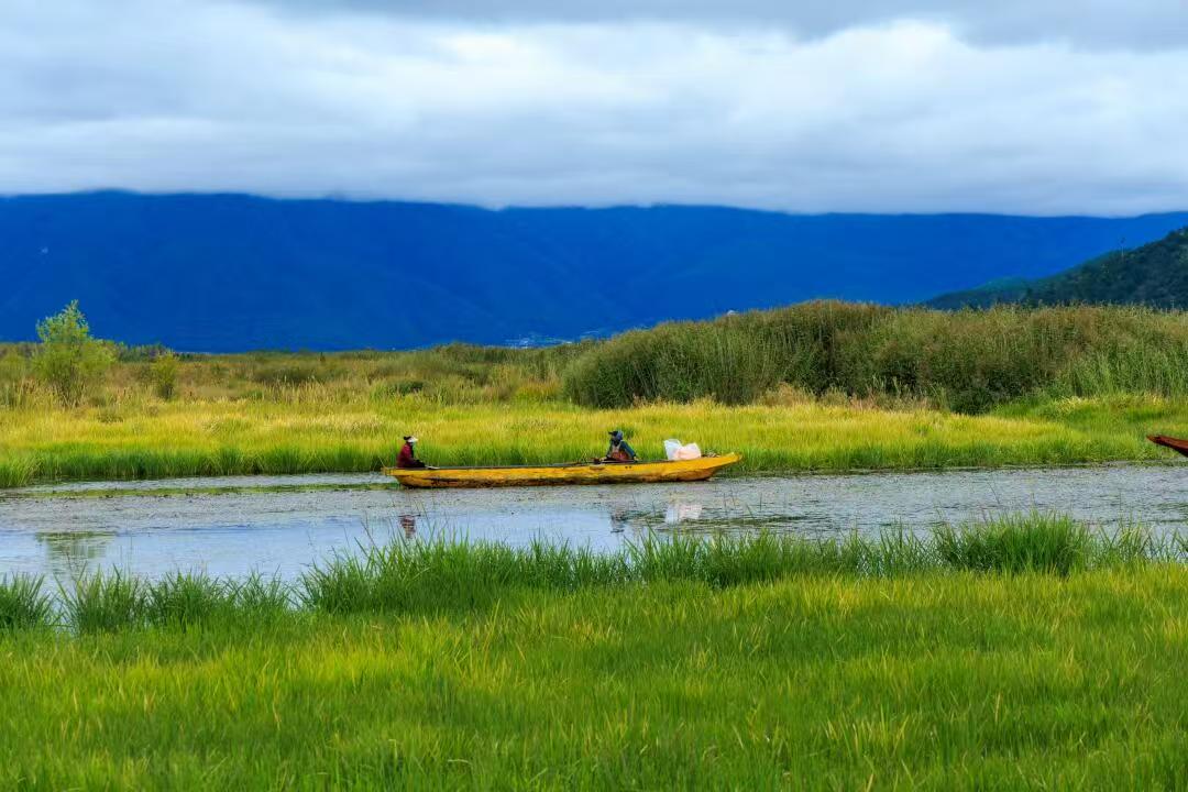 1739757807181544.jpg d26f7a582d0cfa1ee76a4fdc6c49c7a.jpg