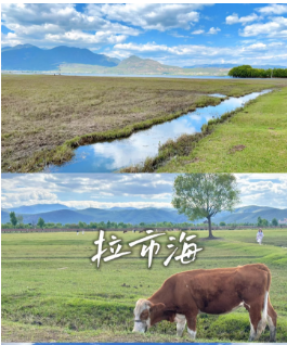 1740476166184522.png 29968cddd147f6b7a31ec617f84d3ed.png