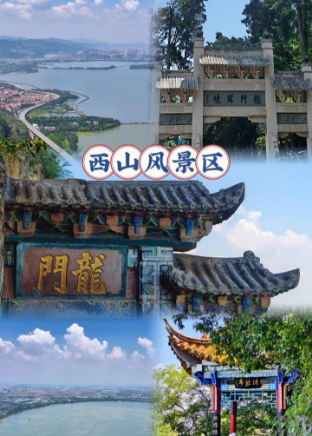 1740476563330175.png b099f6b057c6072b34874af53099b33.png