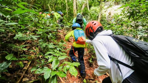 1741328050851378.jpg bc9eb878c90de8e579b5cc2f9c6730d3_03545120008za3do58719_C_500_280_Q80.jpg