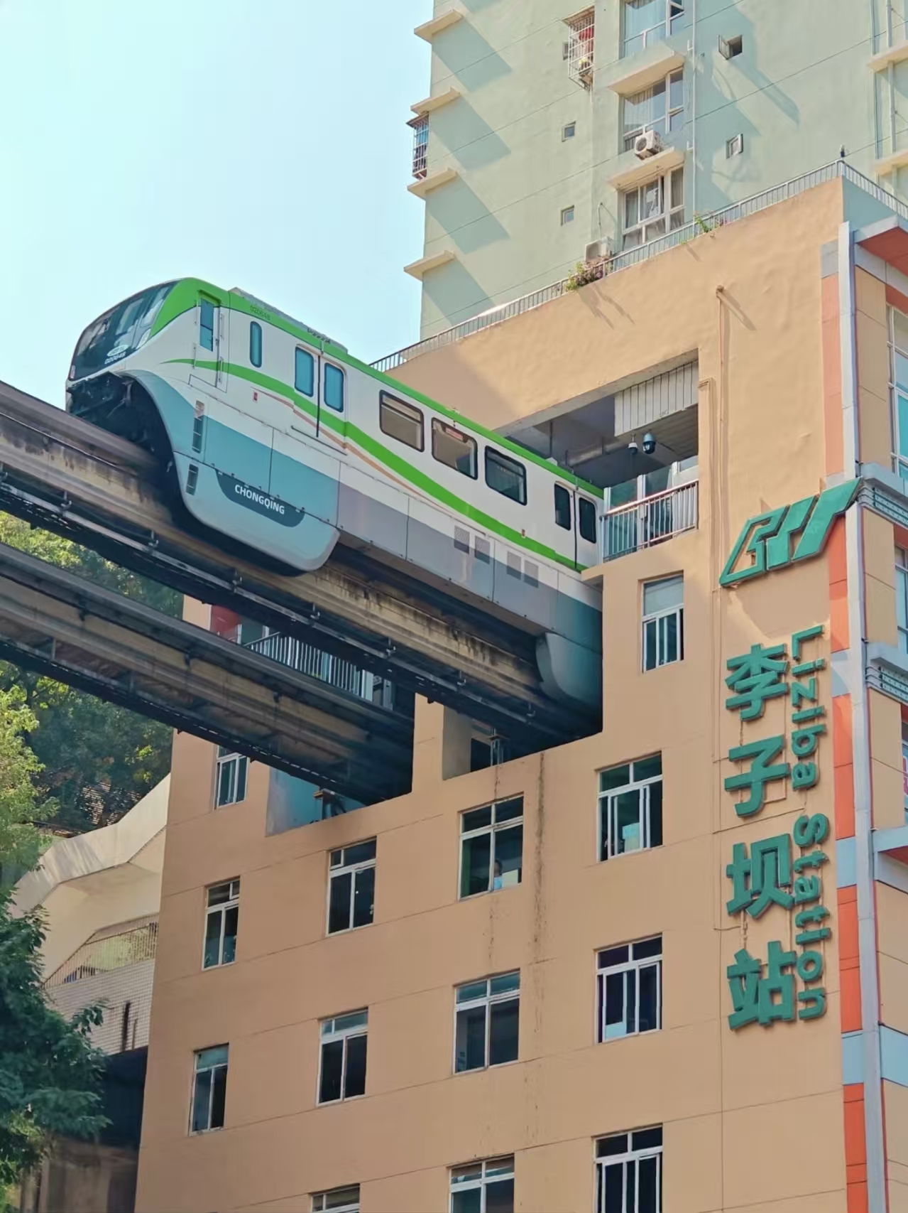 1758707008875604.jpg 97da8ac8866ea0af55318a5a281569aa.jpg