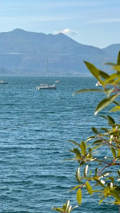 1789024822726892.png 7c9c70bd-3bbf-471f-9d0e-f921c7488880.png
