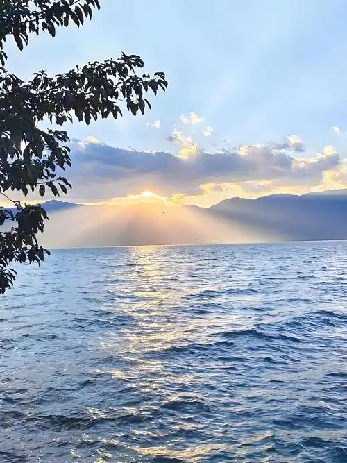 1789289698553631.png b86e713d-2d40-46bd-89c9-61b649bf0a00.png
